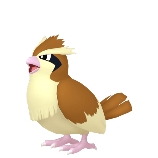 Image of pidgey