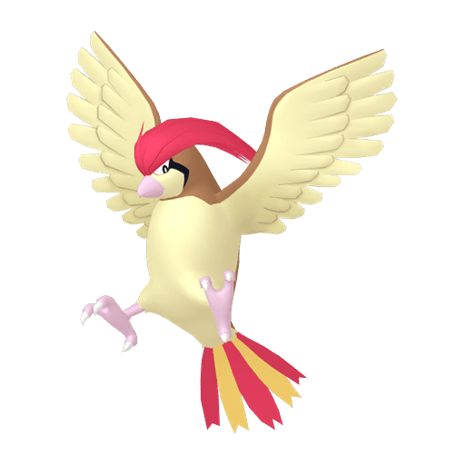 Image of pidgeotto