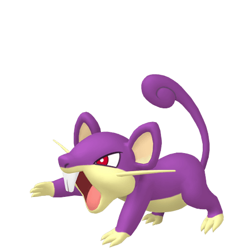 Image of rattata